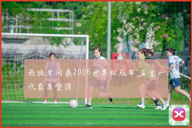 西班牙问鼎2006世界杯冠军 黄金一代首度登顶