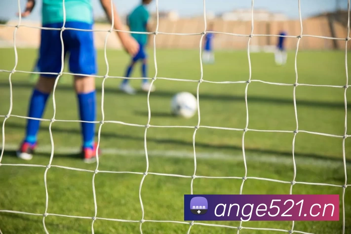 App Interface Preview